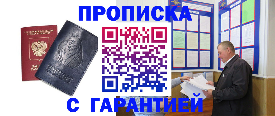 прописка поиск в Сольцах